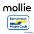Picture of Mollie-compatible Bancontact/MisterCash payment plug-in for nopCommerce 