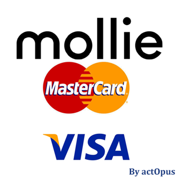 Picture of Mollie-compatible CreditCard payment plug-in for nopCommerce 
