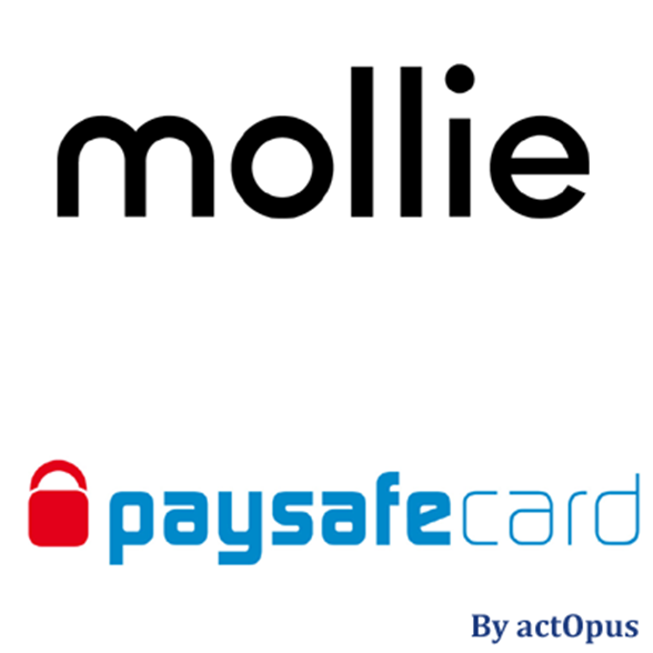Picture of Mollie-compatible PaySafeCard payment plug-in for nopCommerce 