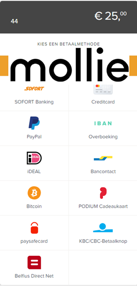 Picture of Mollie All Payment Methods plug-in for nopCommerce 